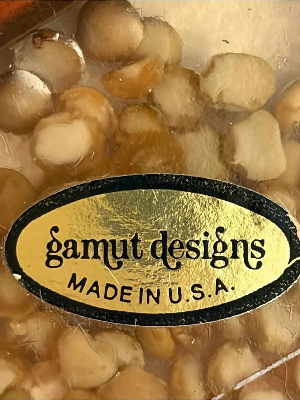 Vintage Gamut Designs Hanging Lucite, Wood & Natural Seed Display 13 1/8” Retro